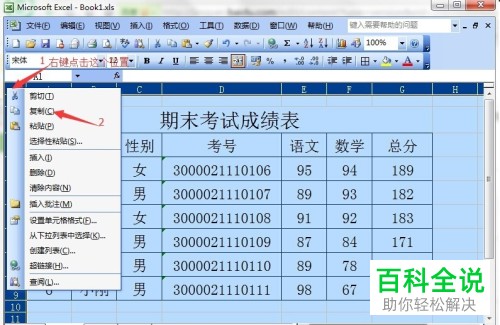 Excel中如何将一个表格中的格式复制到另一个表中 木子杰